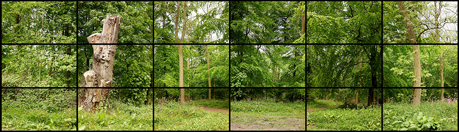 "MAY 11TH 2011 WOLDGATE 12:45PM" 18 DIGITAL VIDEOS SYNCHRONIZED AND PRESENTED ON 18 55" NEC SCREENS TO COMPRISE A SINGLE ART WORK, 27 X 47 1/8" EACH 81 X 287" OVERALL DURATION: 2:00 © DAVID HOCKNEY